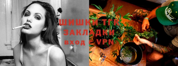 крисы Верея