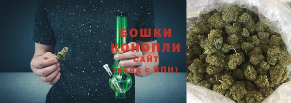 крисы Верея