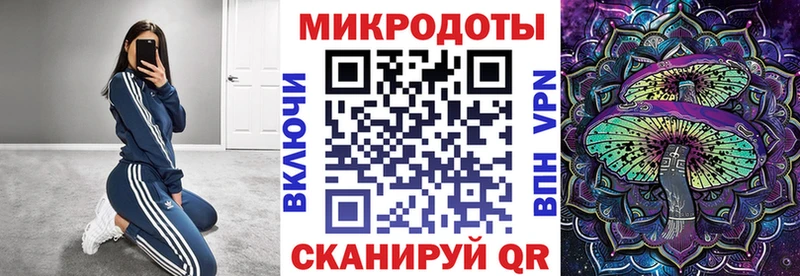 где купить наркоту  Энгельс  Галлюциногенные грибы Cubensis 